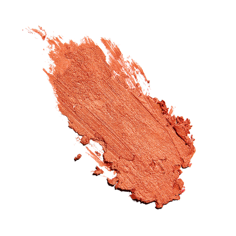 Sunforgettable® Total Protection™ Color Balm SPF 50 swatch || Golden Hour